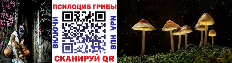 даркнет какой сайт  Невельск  Галлюциногенные грибы прущие грибы 